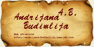 Andrijana Budimlija vizit kartica